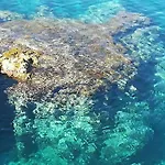 Дом отдыха Casa Frontemare Posto Rosso